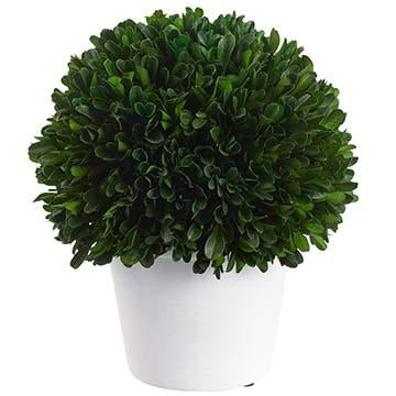9.5" Preserved Boxwood Ball Topiary in Pot Green