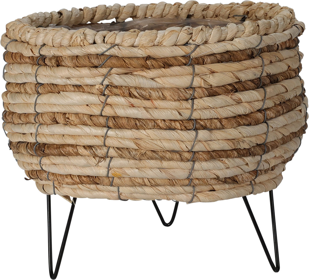 Basket Corn Leaf