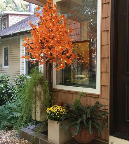 Lighted fall maple tree with orange leaves and warm white LEDs on a porch with autumn plants.