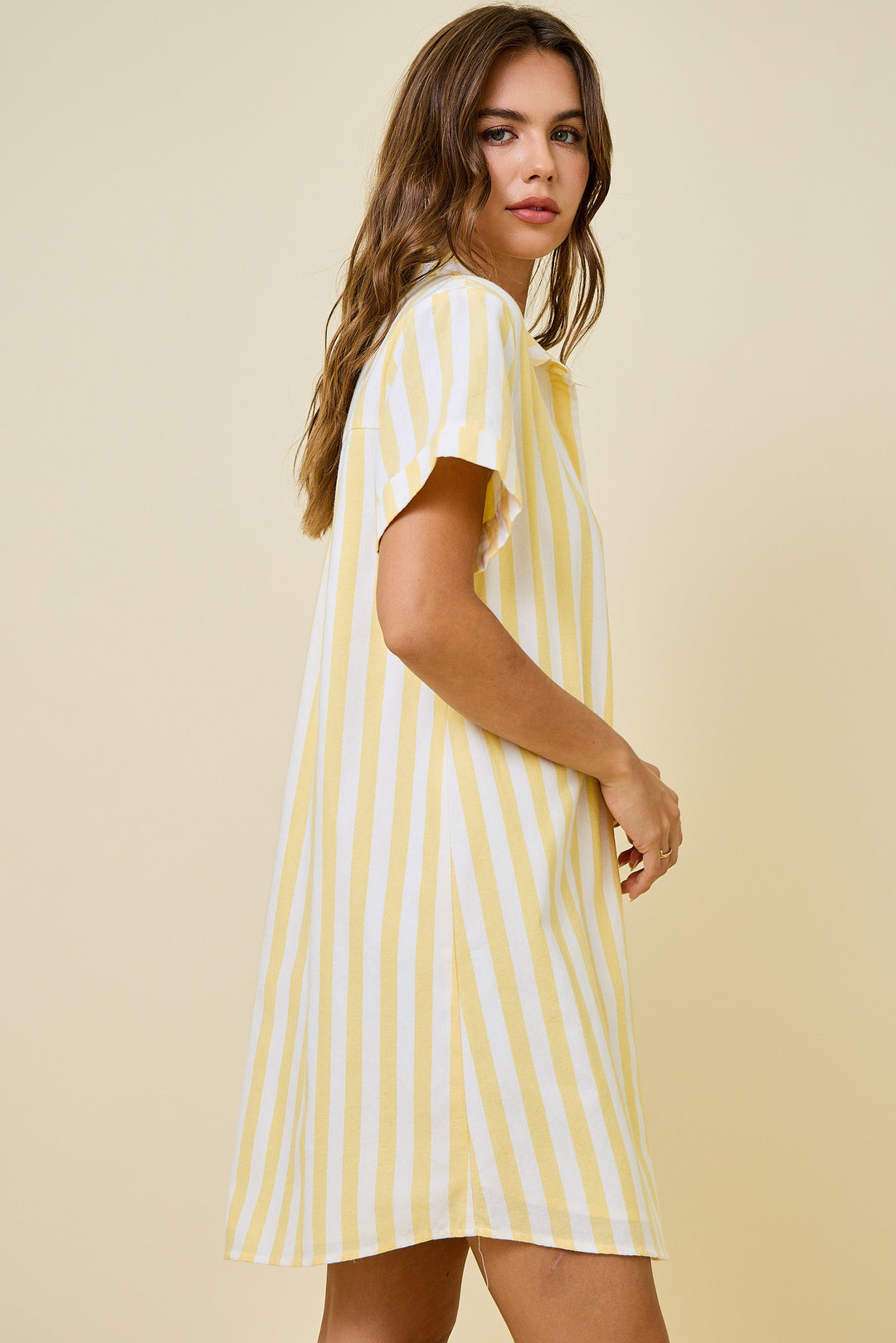 Harper Striped Easy Shirt Dress W/ Pocket Detail & Lining