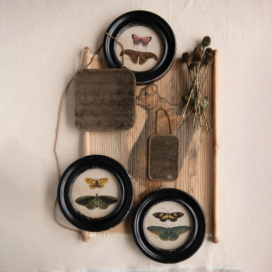 Framed Wall Decor with Moths/Butterflies Image