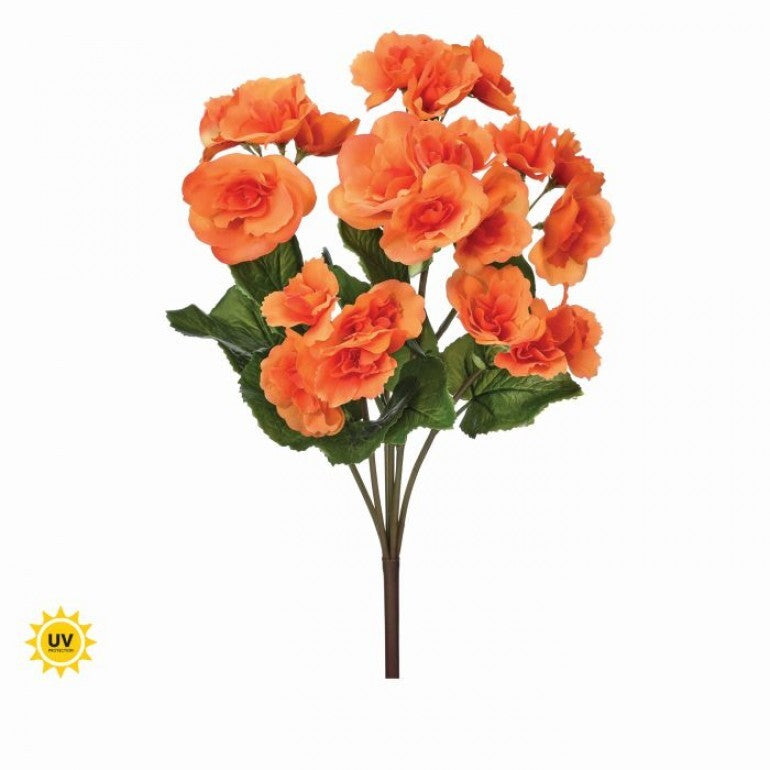 Decorative UV Summer Reiger Begonia plant in a rectangular planter with dimensions approximately 17 inches tall.