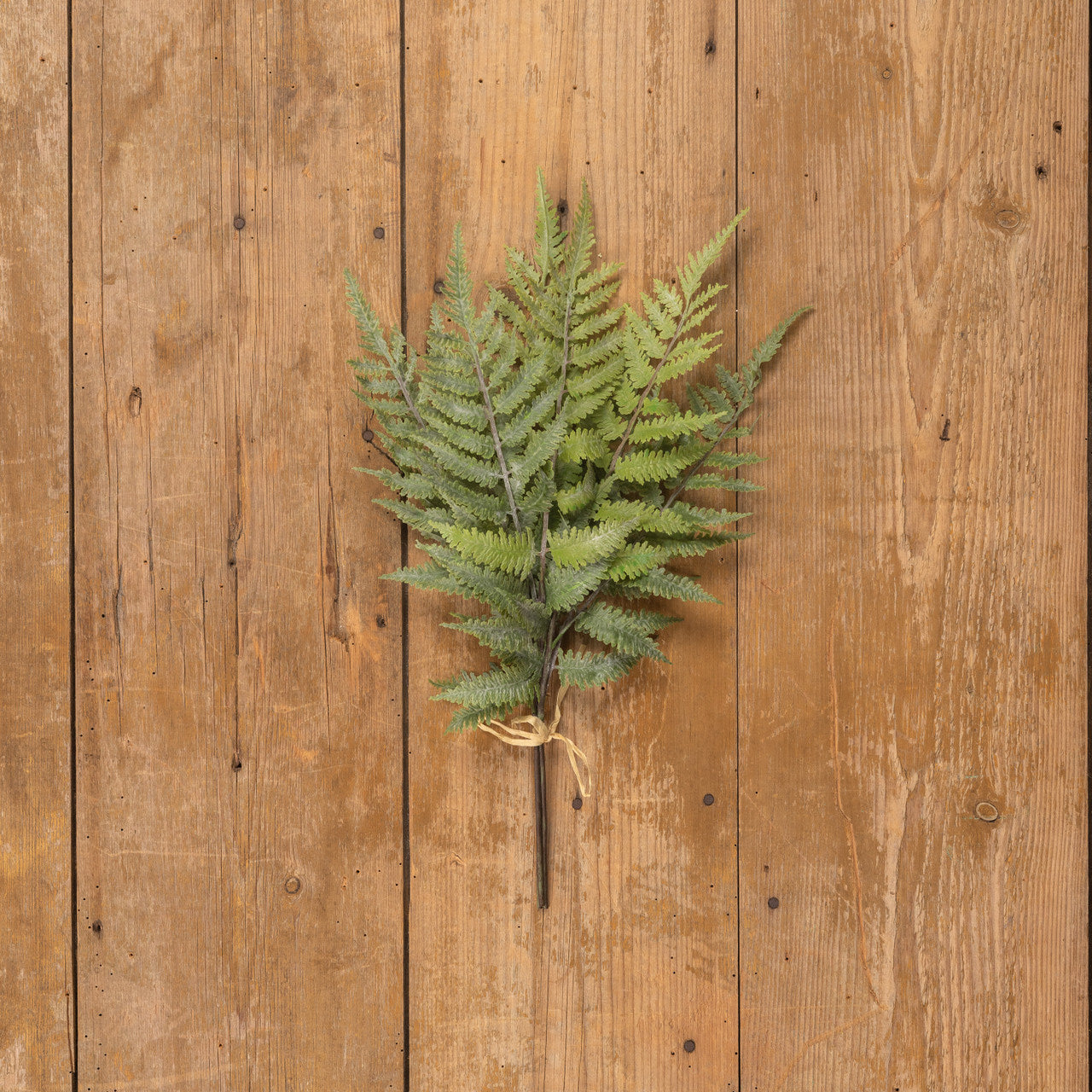 Artificial Boston fern in whitewashed plastic with a natural green leaf pattern.