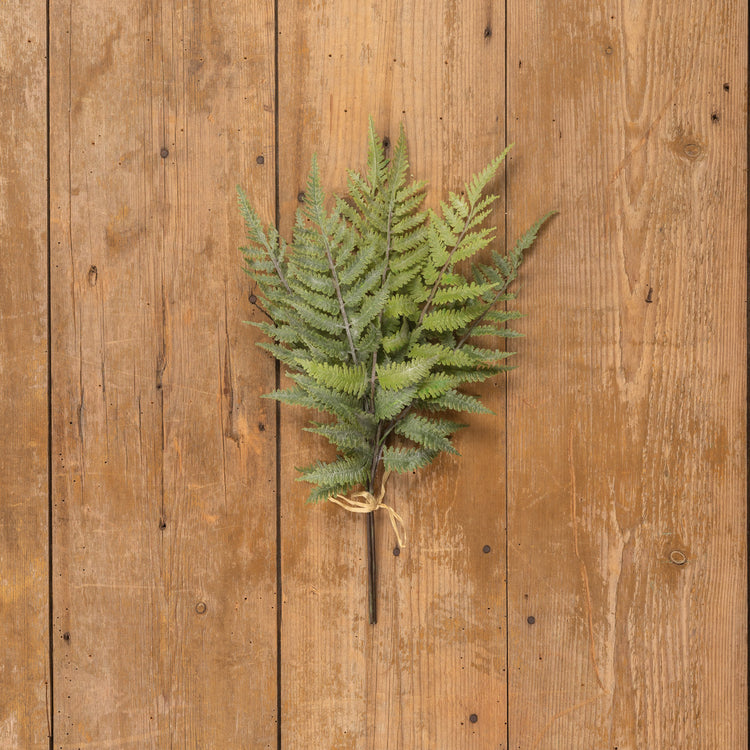 Artificial Boston fern in whitewashed plastic with a natural green leaf pattern.