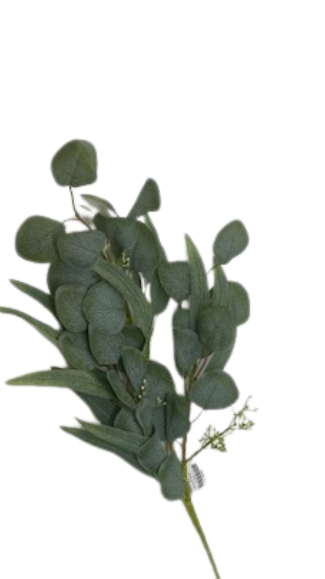 Willow Eucalyptus pendant light with natural wood finish and eucalyptus leaf design