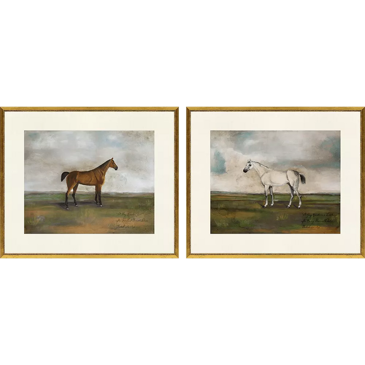 Two framed equestrian paintings featuring a brown horse and a white horse in open landscapes.