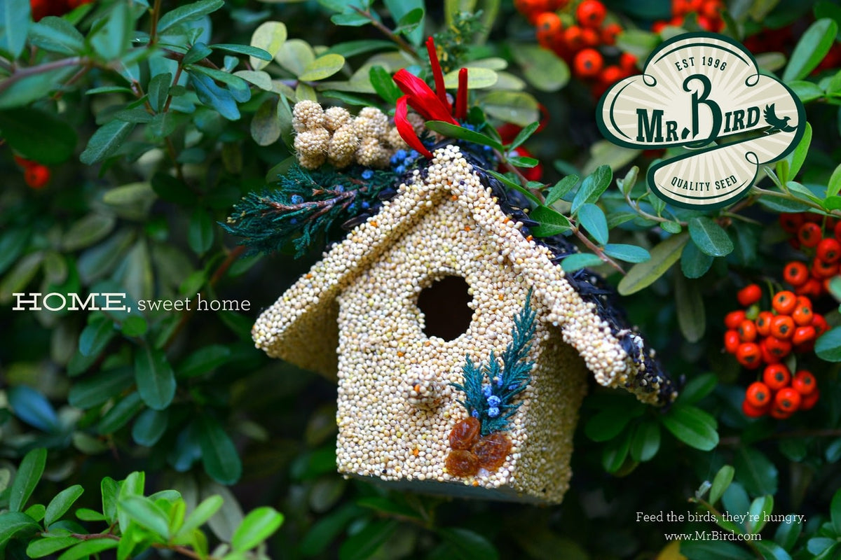 Hand-decorated wooden birdhouse with red raffia, juniper, cranberries, and millet accents.