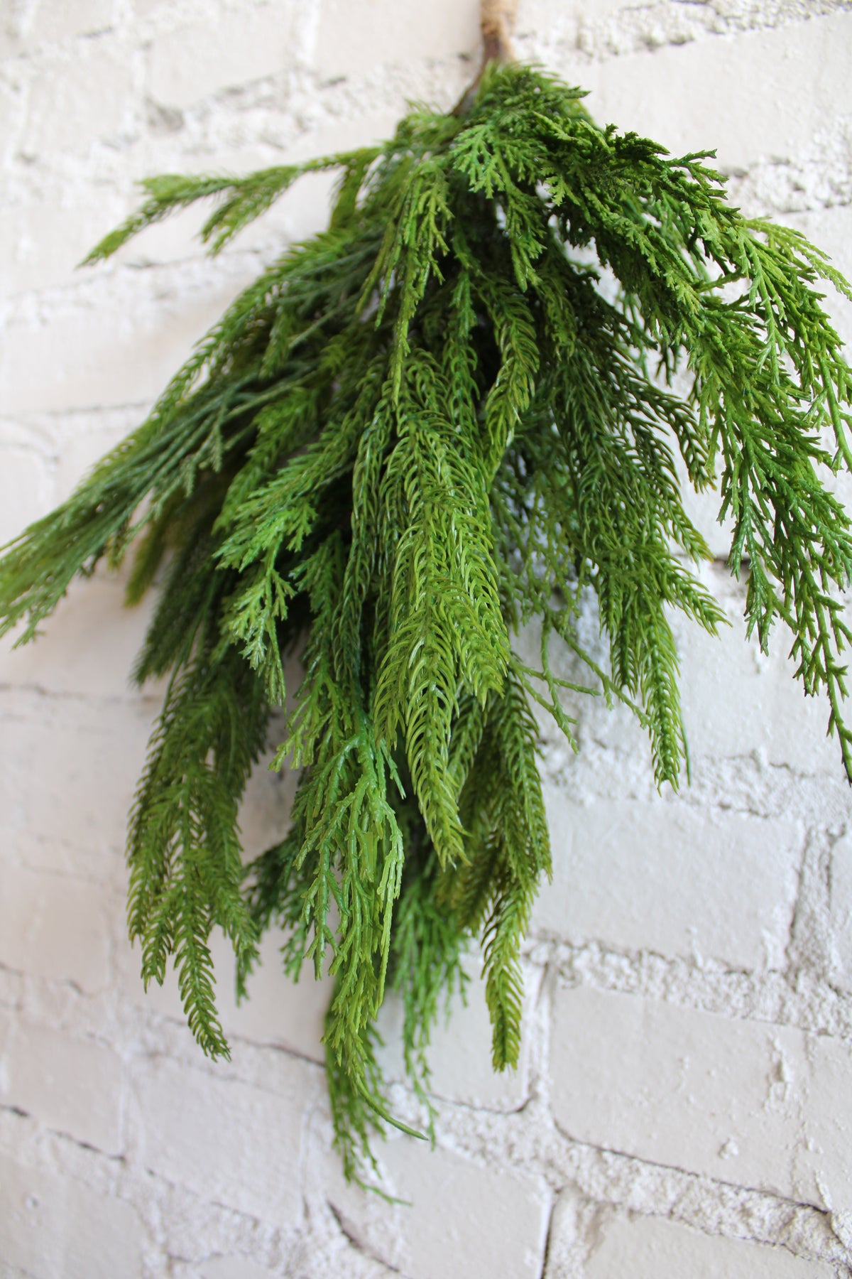 Bundle of Cyprus/Norfolk pine branches with natural green needles