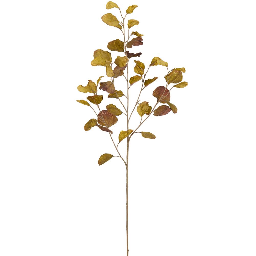 38.5" Eucalyptus Leaf Spray  Green