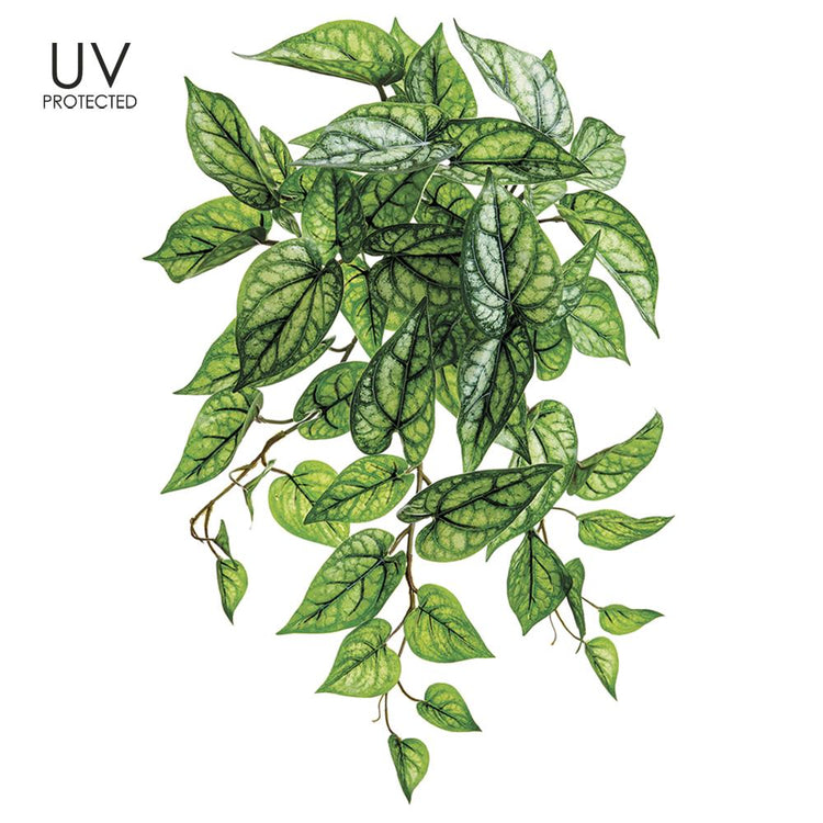 Two-tone green PVC artificial Peperomia leaf bush with realistic foliage.