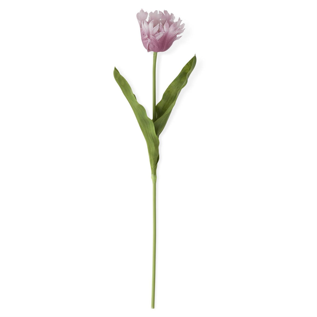 Real touch parrot tulip artificial plant in plastic with PU leaves, wire stem structure.