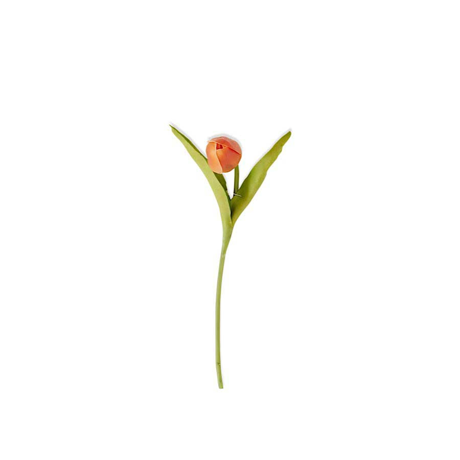 Orange Real Touch Tulip Mini succulent in a small terracotta pot with smooth rounded silhouette.