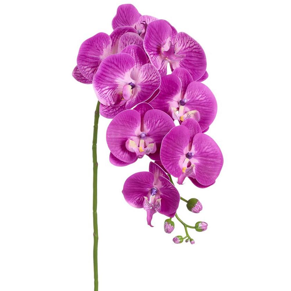 Purple Phalaenopsis orchid spray in a wire frame with plastic and fabric accents.