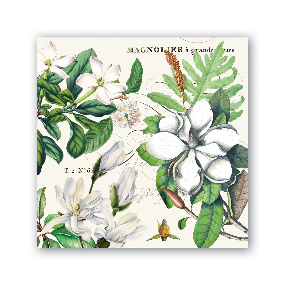 Square cocktail napkin featuring a vintage botanical illustration of white magnolia flowers.