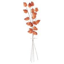 28.5 inch bundle of four orange Chinese lantern stems tied together with a white string.