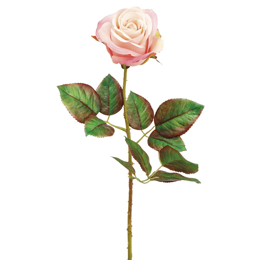 Ecuador rose spray with a full floral arrangement in soft pink tones on an oval-shaped wire frame.