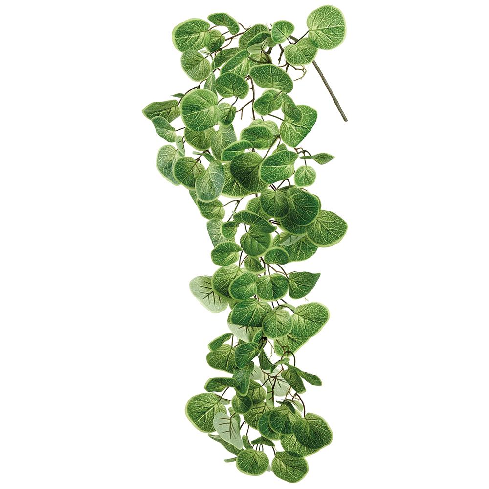 43-inch Nasturtium Vine Green plastic plant with wire support in a rectangular silhouette.