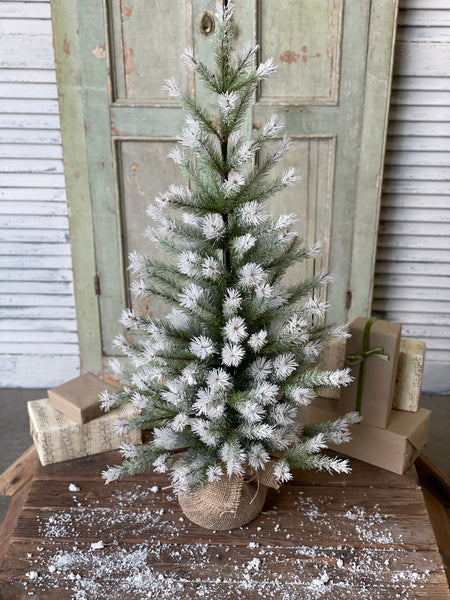3' Frost Fade Pine Tree with light ice on PVC needles and a burlap base, set among gift boxes.