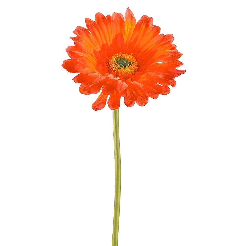 9" Large Gerbera Daisy Stem