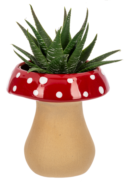 Multi-colored mushroom-shaped ceramic planter with a rounded organic silhouette.
