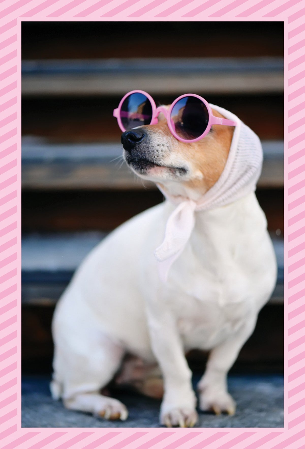 Funny birthday card featuring a dog named Audrey with glittery embossed text.