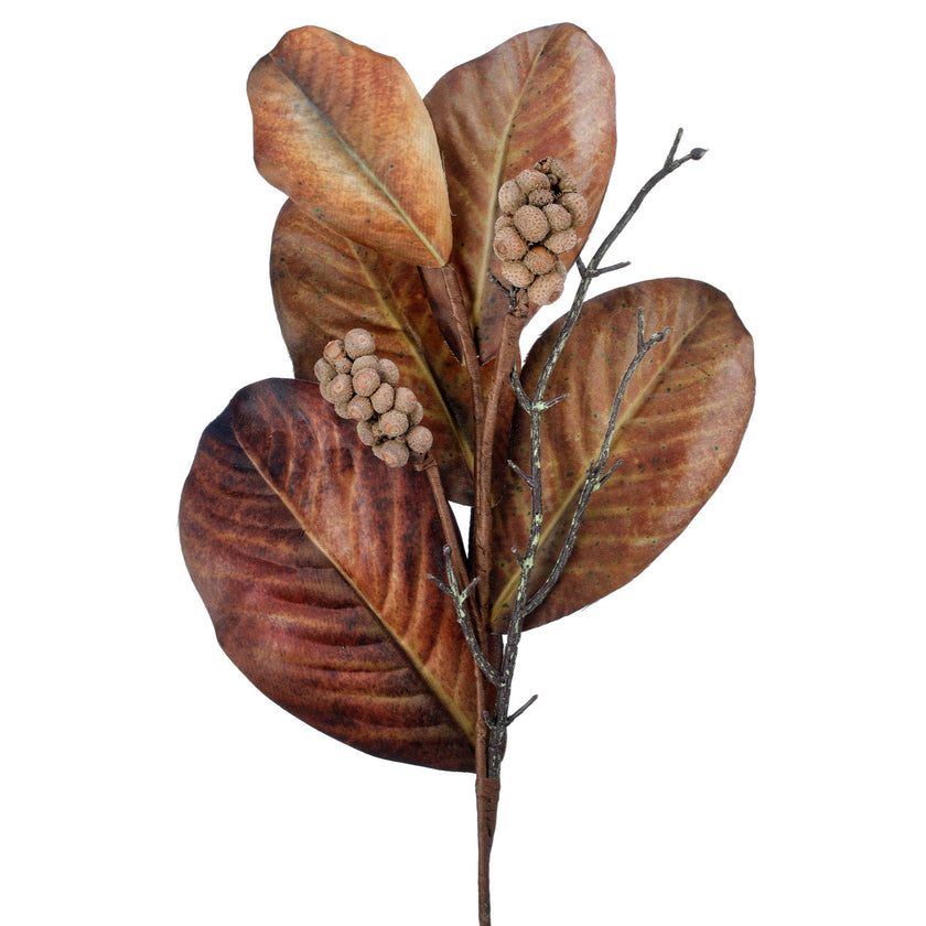 25-inch harvest magnolia spray with brown leaves and textured seed pods on a single stem.