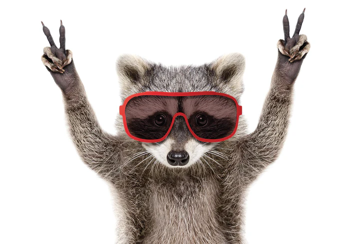 Funny birthday card featuring a cartoon raccoon with foil text reading 'Age ain't nothin' but a number!'