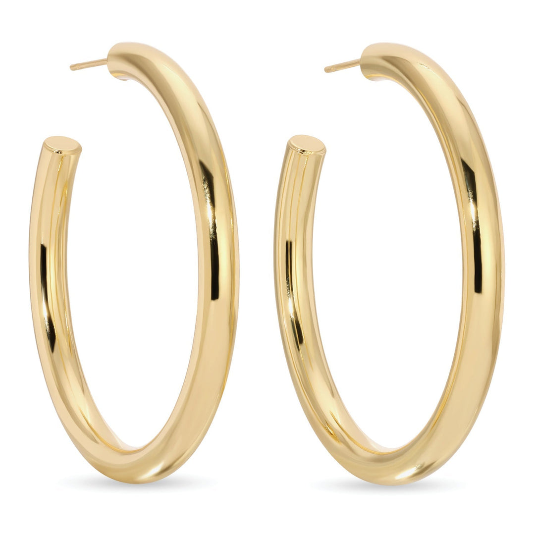The Perfect Hoop Earrings