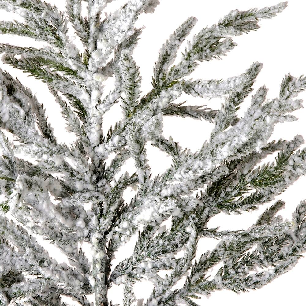 Close-up of a 38-inch real touch flocked Norfolk pine spray with white artificial snow.