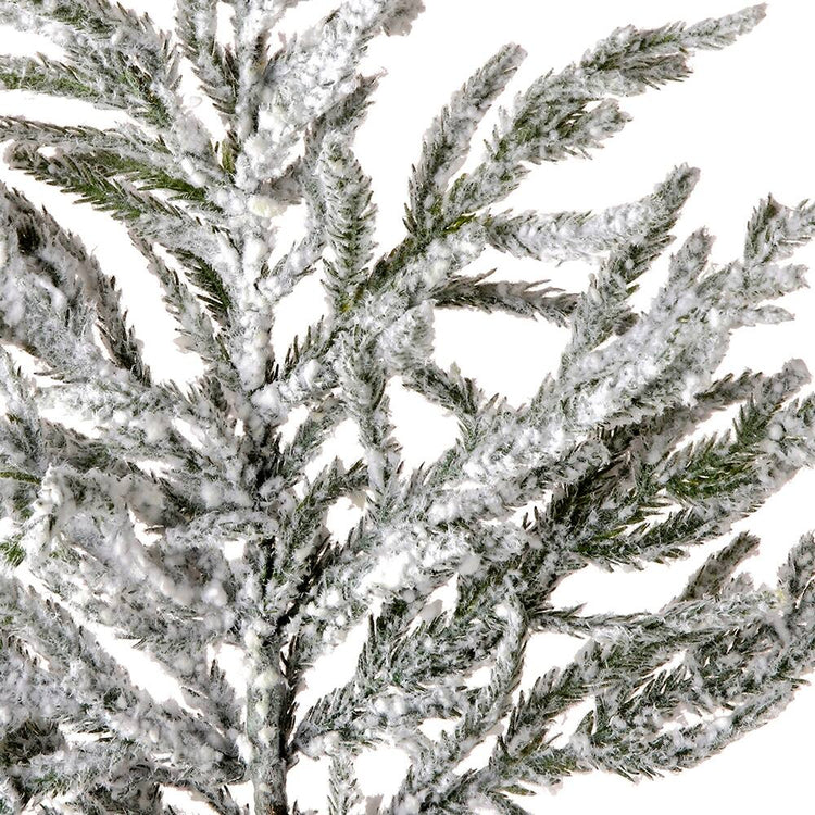 Close-up of a 38-inch real touch flocked Norfolk pine spray with white artificial snow.