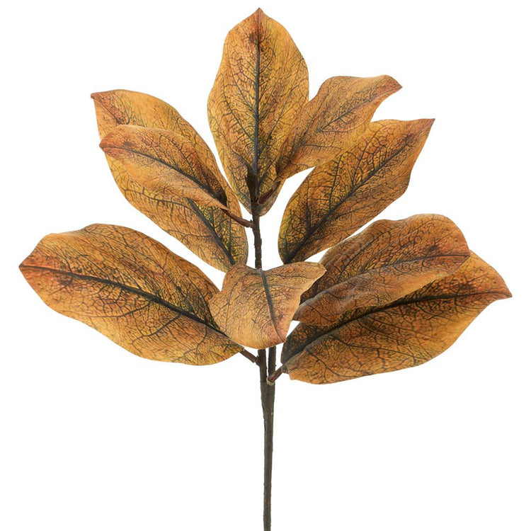 25-inch magnolia leaf spray with textured, golden-brown polyester leaves on a single stem.