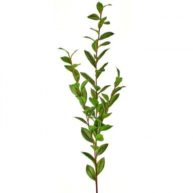 Triple laurel leaf branch arrangement in a natural green finish with organic branching silhouette.
