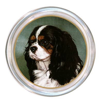 Glass coaster with tri-colored King Charles Spaniel print on a black velvet back.