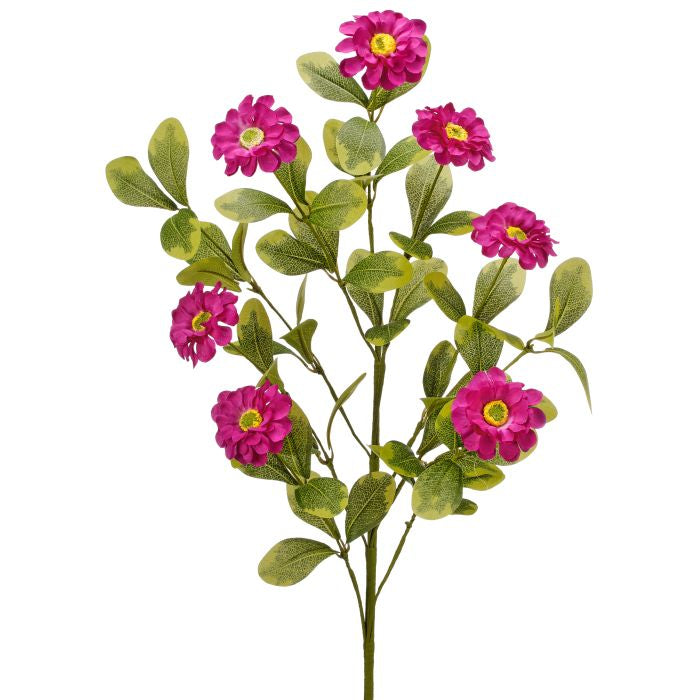 34-inch spray of white Zinnia flowers with green stems arranged in a natural silhouette.