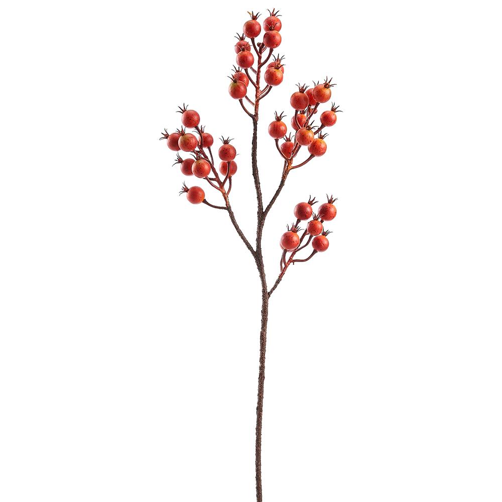 29" Rosehip Spray Orange