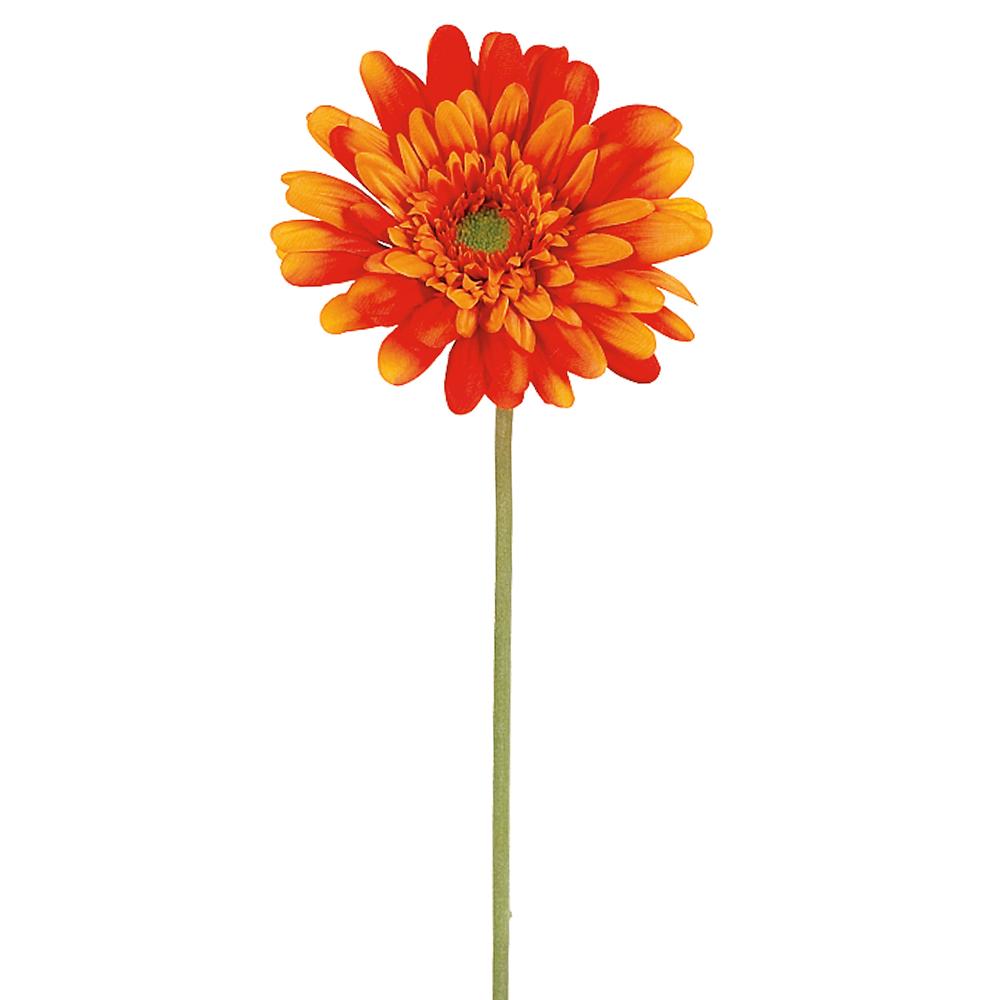 21.5" Medium Gerbera Daisy Spray