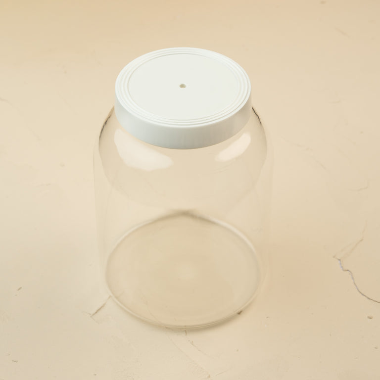 Clear glass Super Duper Canister with a white melamine lid featuring a hole for Nora Fleming minis.