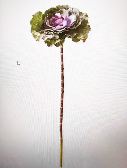 Eighteen-inch purple and green ornamental cabbage pick with ruffled leaves.