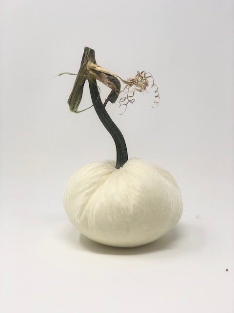 Handmade velvet pumpkin in deep orange with a natural stem.