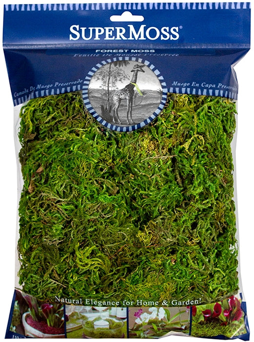 8oz container of preserved forest moss with a natural green color suitable for floral arrangements.