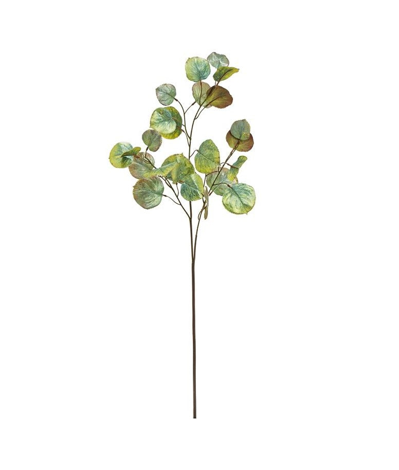 30-inch artificial eucalyptus spray with round green and yellow leaves on a brown stem.
