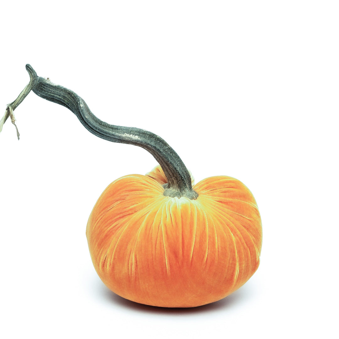 8" Velvet Pumpkin