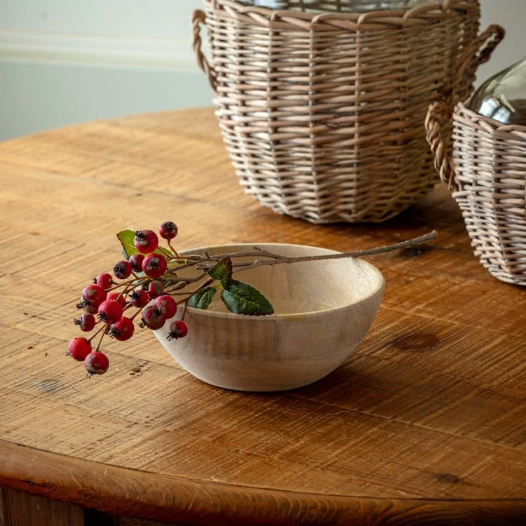 Red linden berry stem with realistic berries and natural leaves