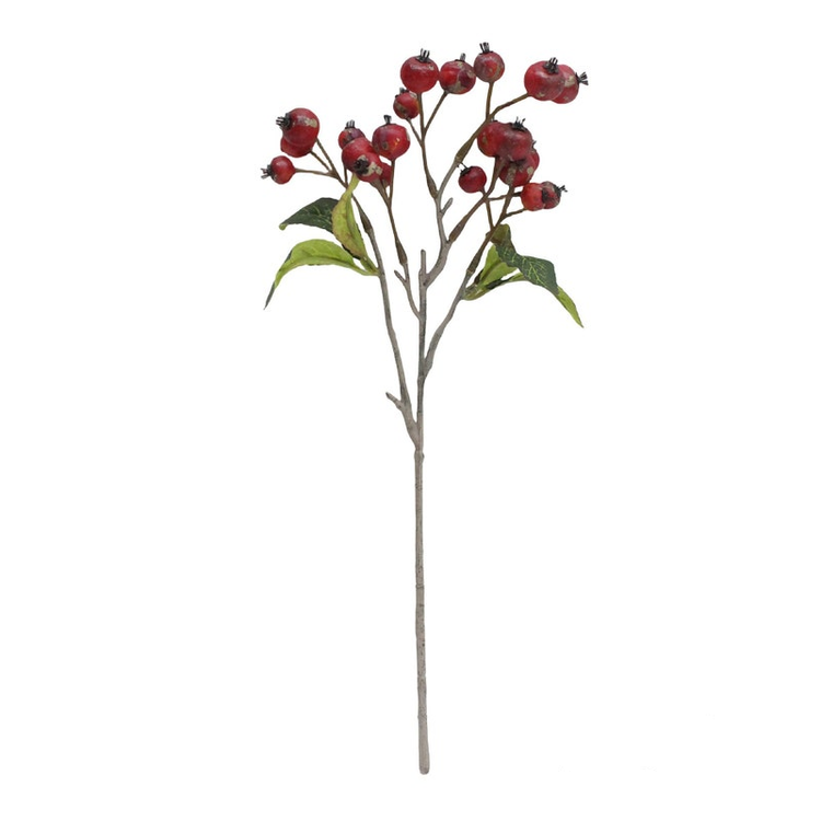 Red linden berry stem with realistic berries and natural leaves