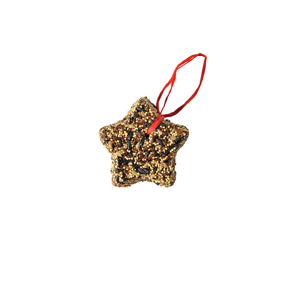 Little Star bird feeder shaped like a star with black oil sunflower seeds.