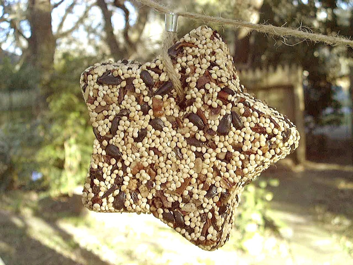 Little Star bird feeder shaped like a star with black-oil sunflower seeds, pecans, and white millet.