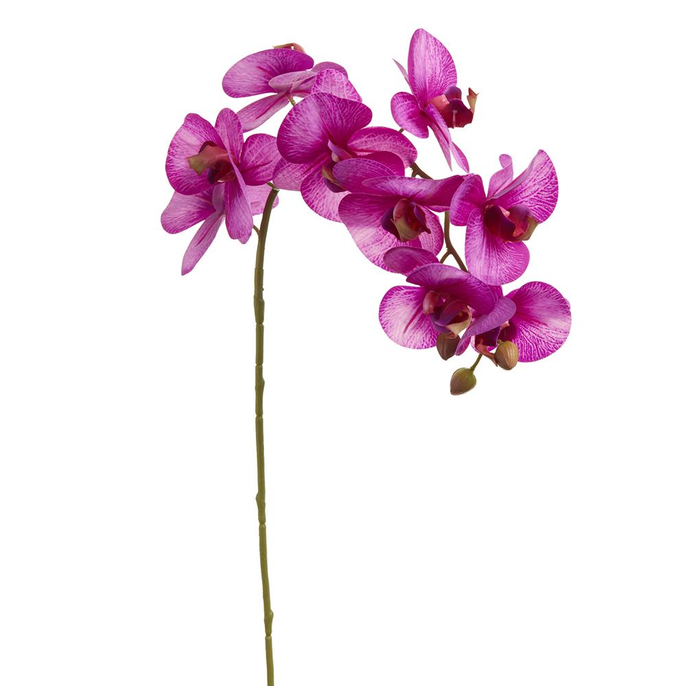 Violet Phalaenopsis orchid spray with nine flowers on plastic and iron wire frame.