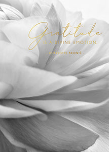 Timeless Peony Petals Card