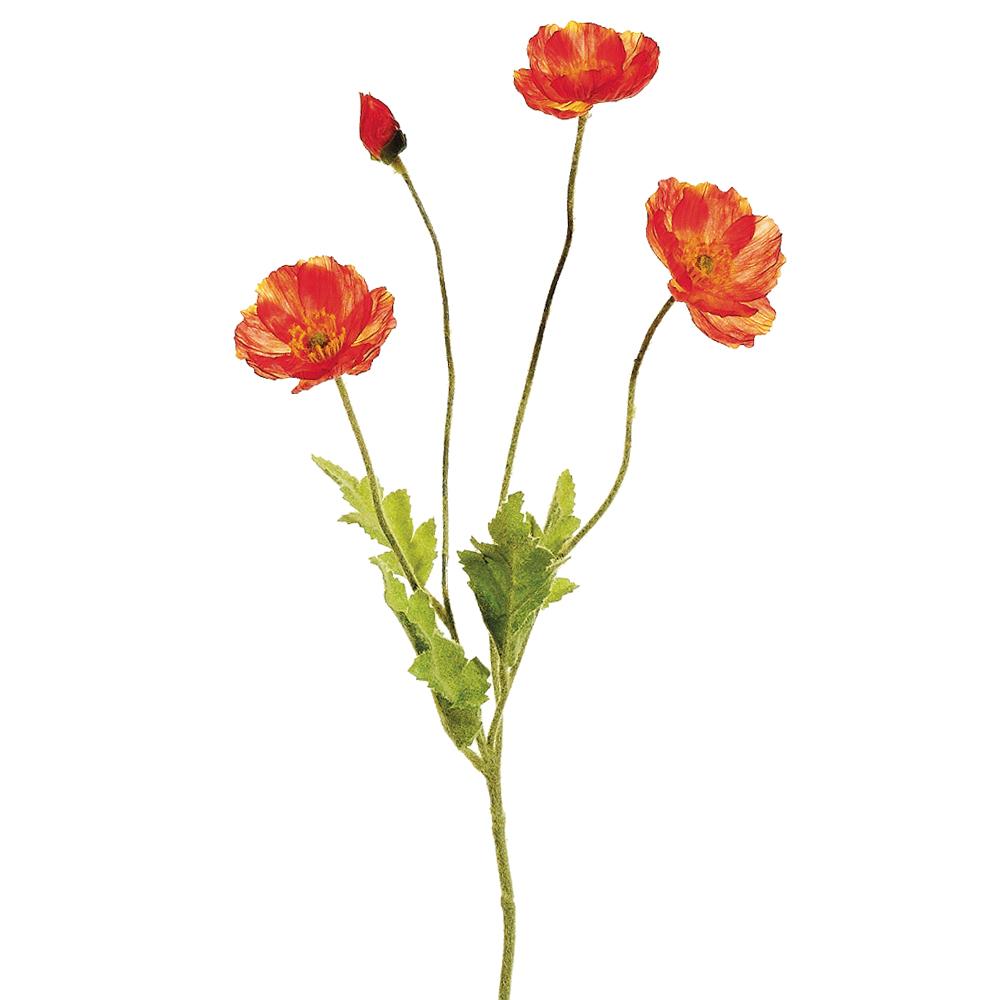 23.6" Poppy Spray
