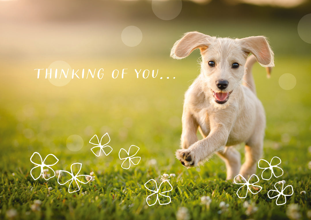 Happy Little Running Dog Card
